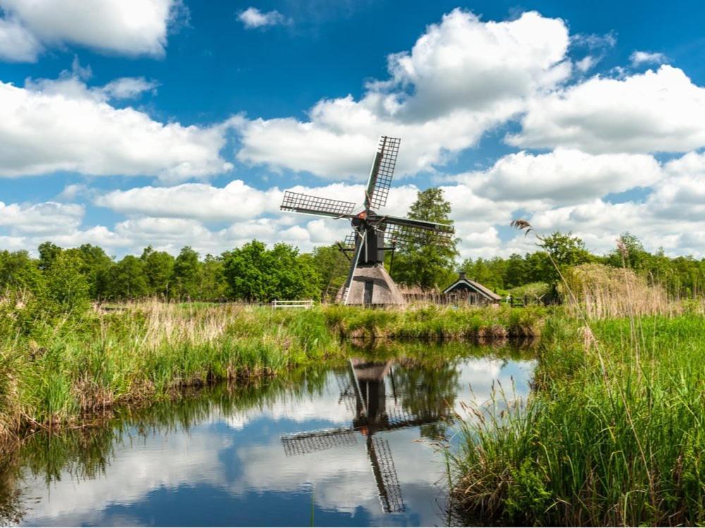 Natuur Lodge Blesdijke Eksteriør billede