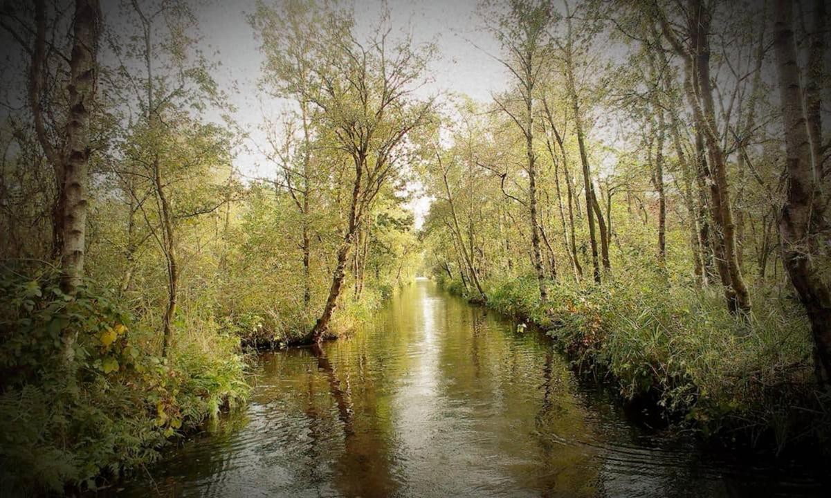 Natuur Lodge Blesdijke Eksteriør billede